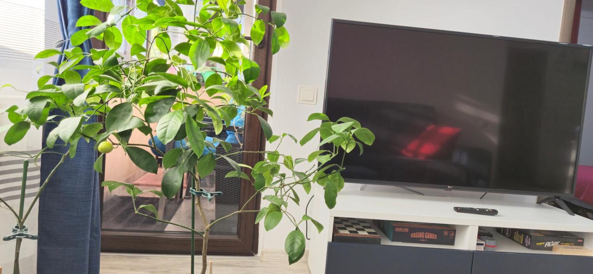 Littlebig Apartment Букурещ Екстериор снимка